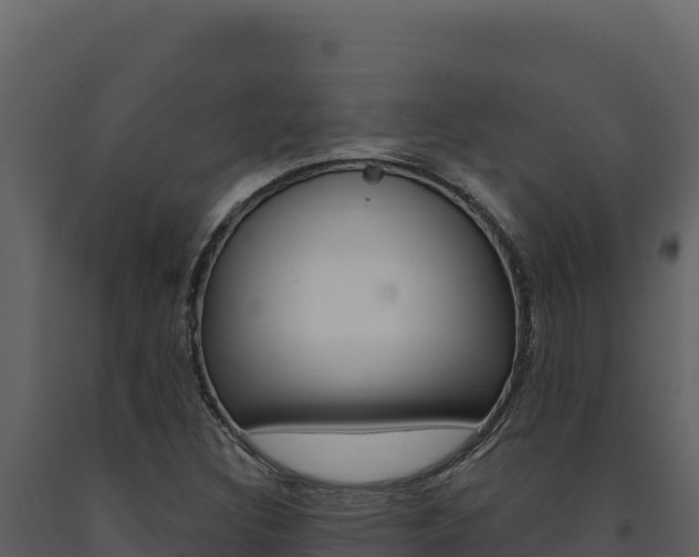 X0000091731308200708241034