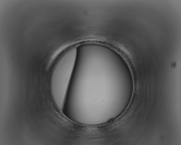 X0000091731310200708241034