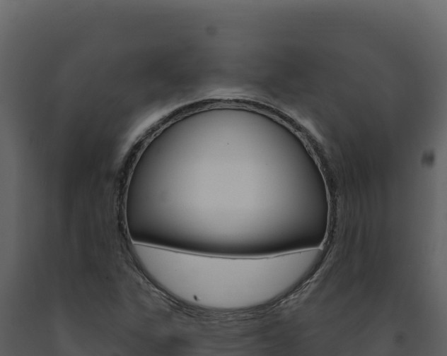 X0000091731311200708241034