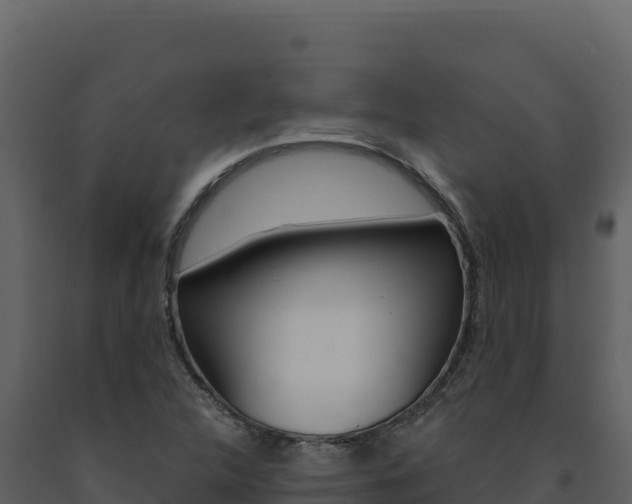 X0000091731312200708241034