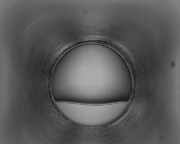 X0000091731313200708241034