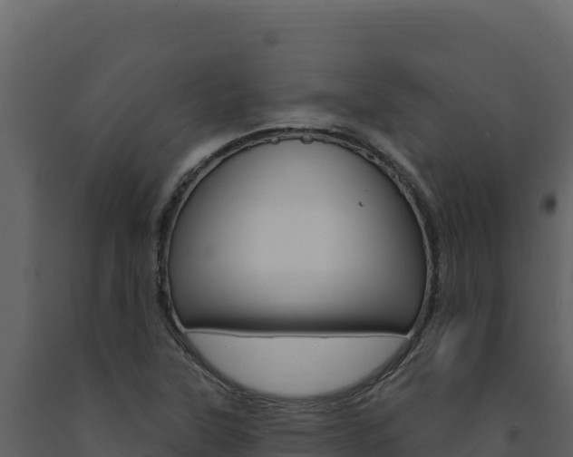 X0000091731315200708241034