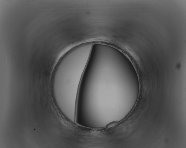X0000091731316200708241034