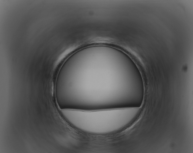 X0000091731317200708241034