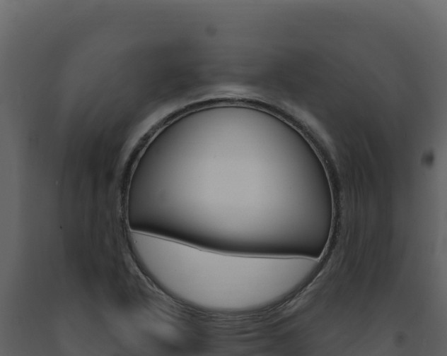 X0000091731318200708241034