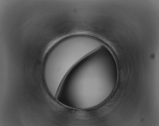X0000091731319200708241034
