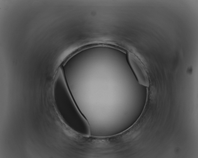 X0000091731320200708241034