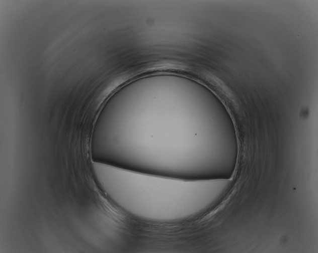 X0000091731321200708241034