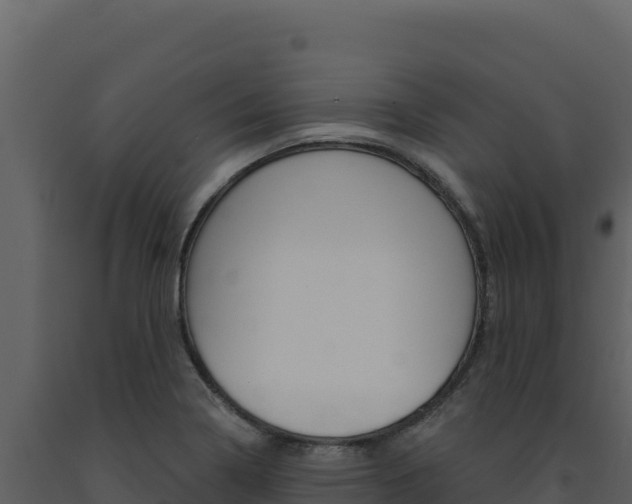 X0000091731322200708241034