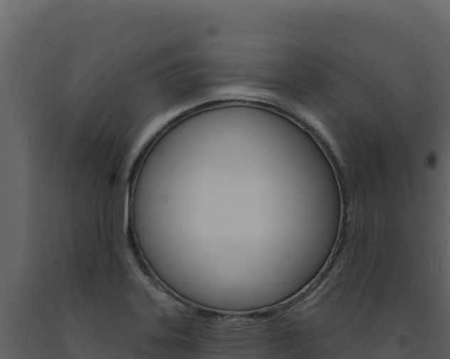X0000091731323200708241034