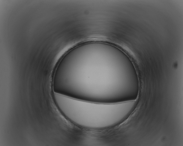 X0000091731325200708241035