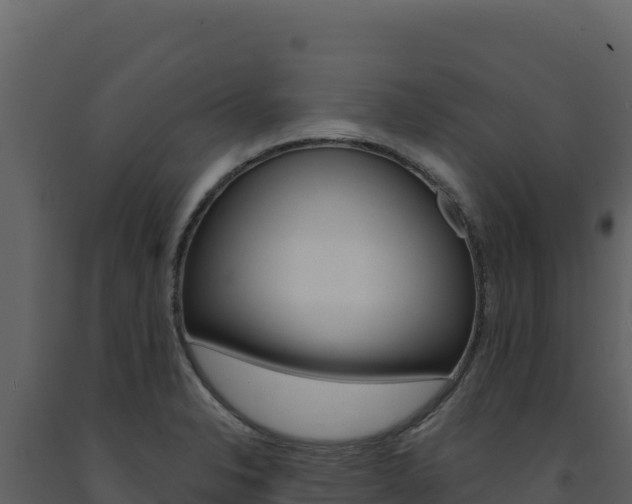 X0000091731326200708241035