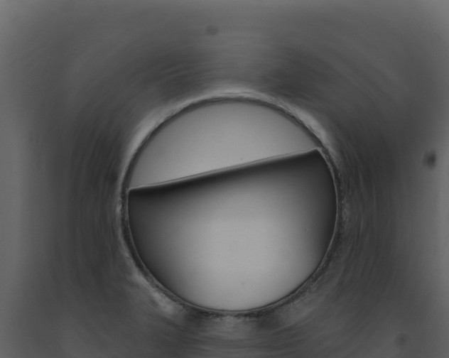 X0000091731327200708241035