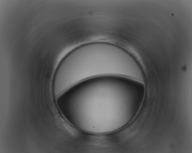 X0000091731328200708241035