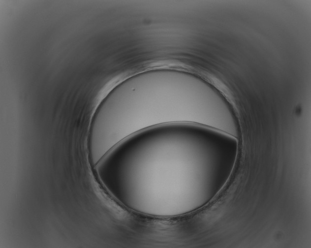 X0000091731330200708241035