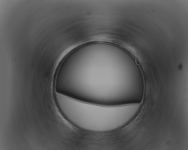 X0000091731331200708241035
