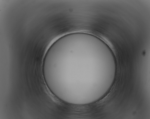 X0000091731332200708241035