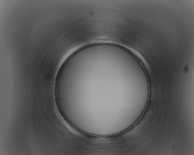 X0000091731333200708241035