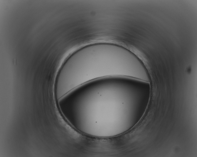 X0000091731334200708241035