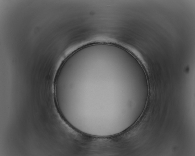 X0000091731335200708241035