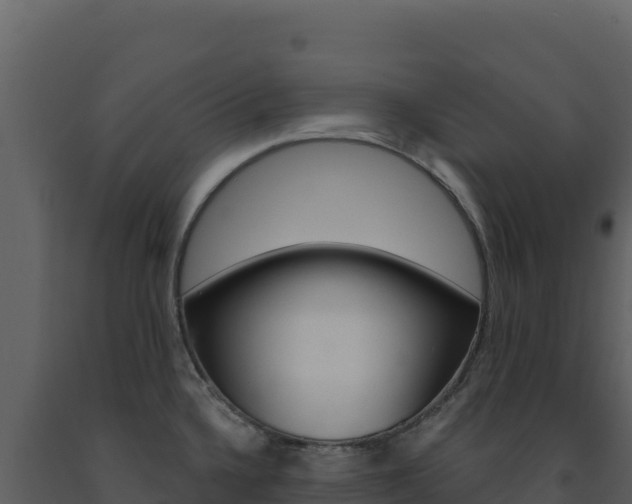 X0000091731336200708241035
