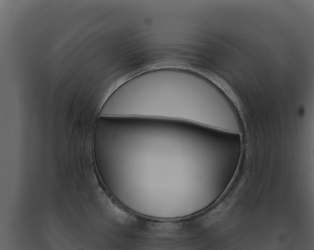 X0000091731337200708241035