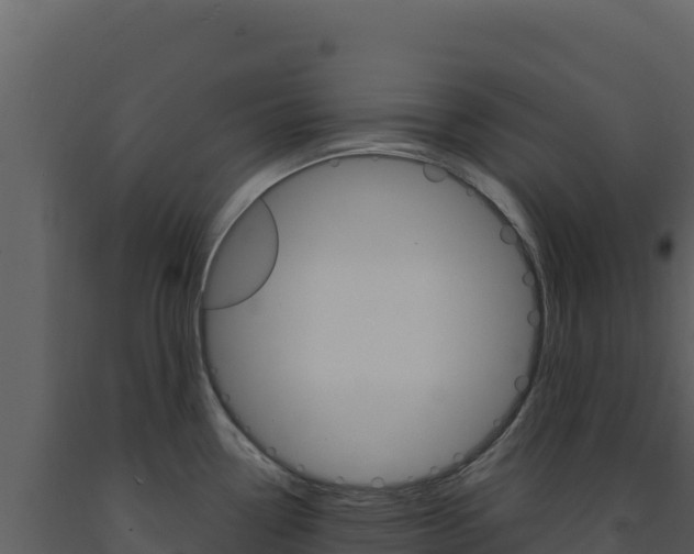 X0000091731338200708241035