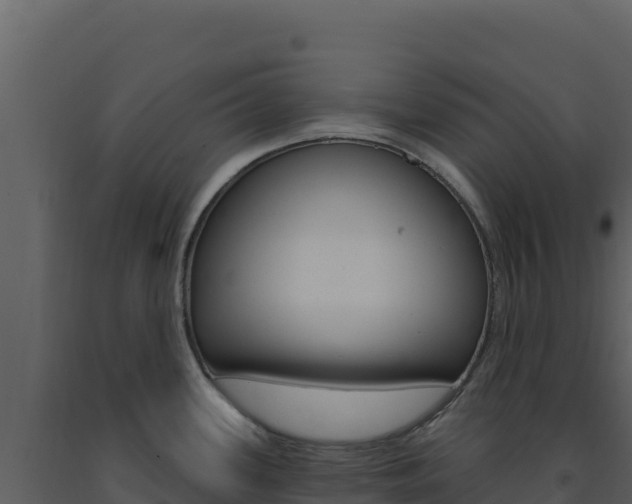 X0000091731339200708241035