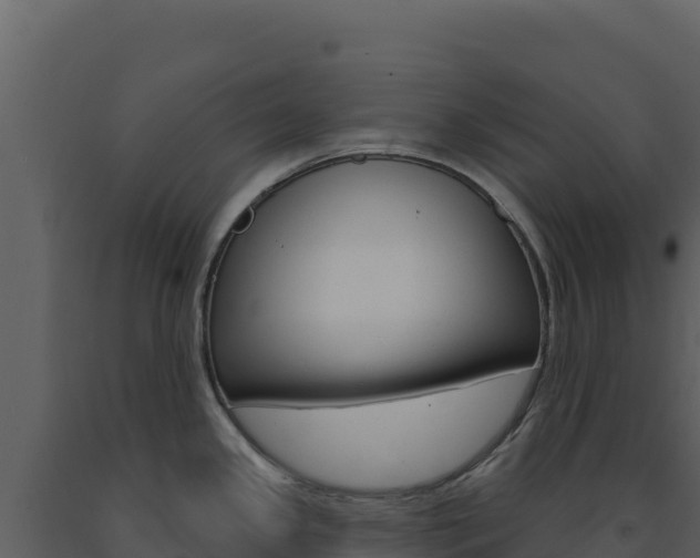 X0000091731341200708241035
