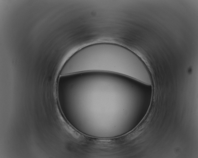 X0000091731342200708241035