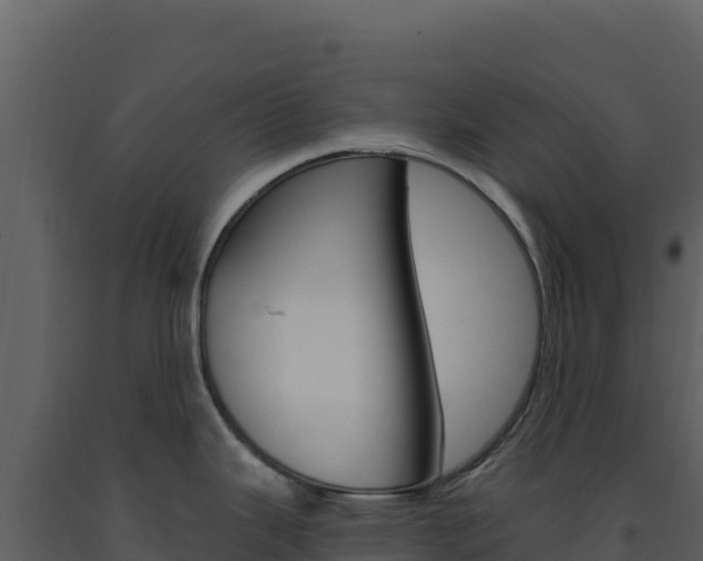 X0000091731343200708241035