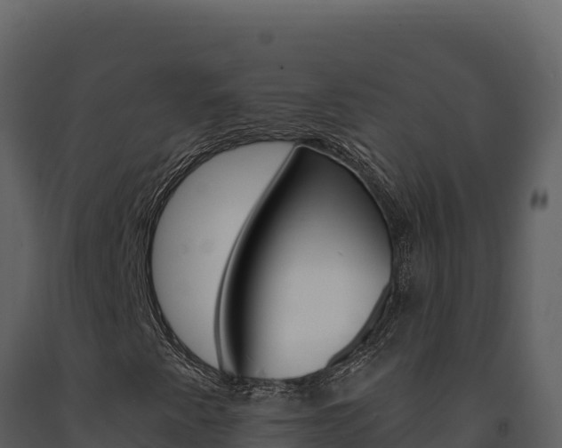 X0000091731345200708241034