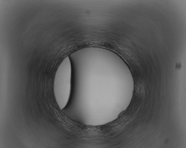 X0000091731346200708241034