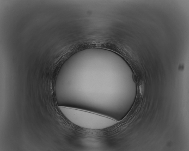 X0000091731347200708241034
