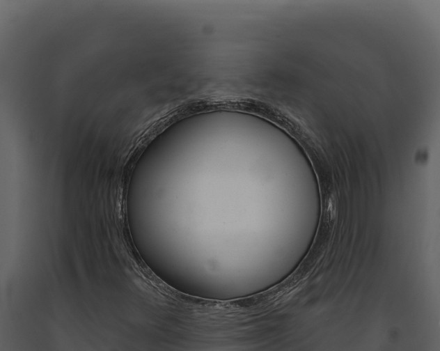 X0000091731348200708241034