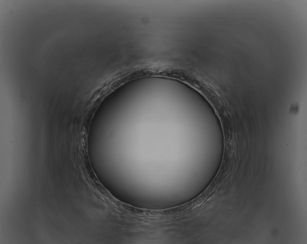 X0000091731349200708241034