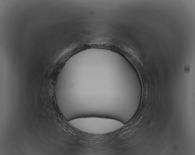 X0000091731350200708241034