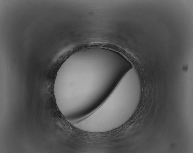 X0000091731351200708241034