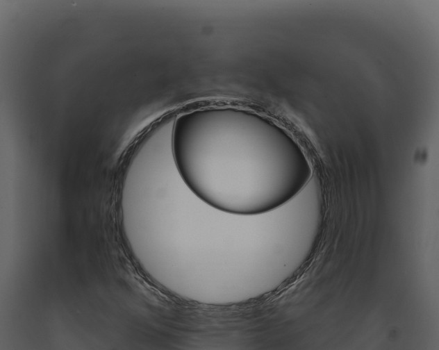 X0000091731352200708241034