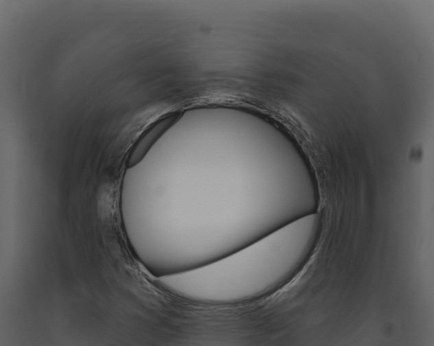 X0000091731353200708241034