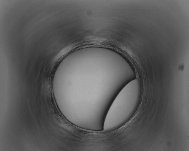 X0000091731354200708241034