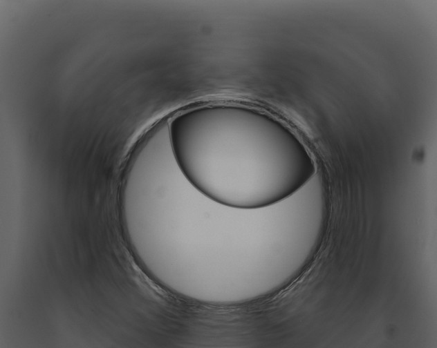 X0000091731356200708241034