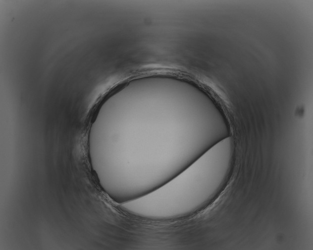 X0000091731357200708241034