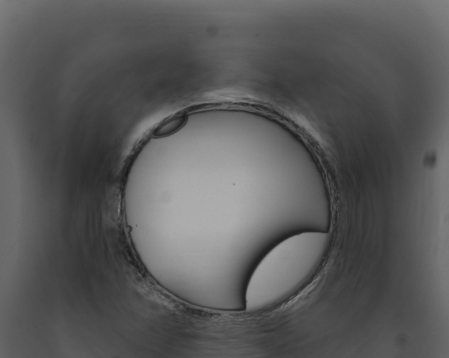 X0000091731358200708241034