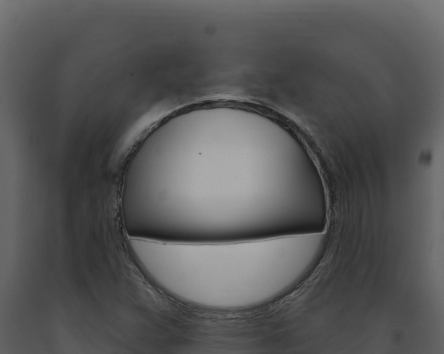 X0000091731359200708241034