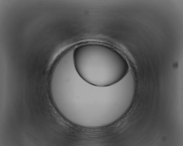 X0000091731360200708241034