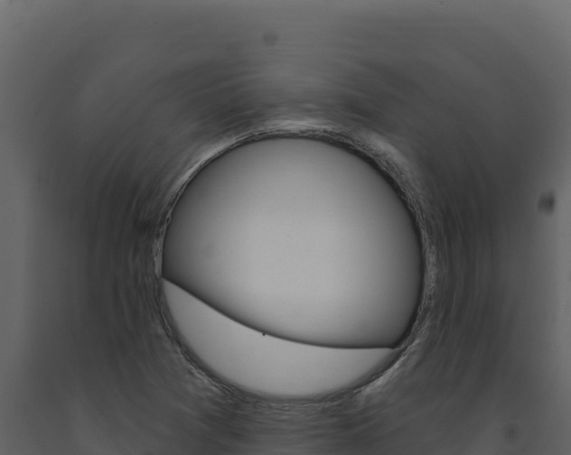 X0000091731361200708241034