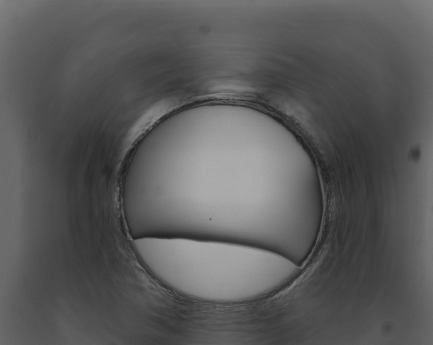 X0000091731362200708241034