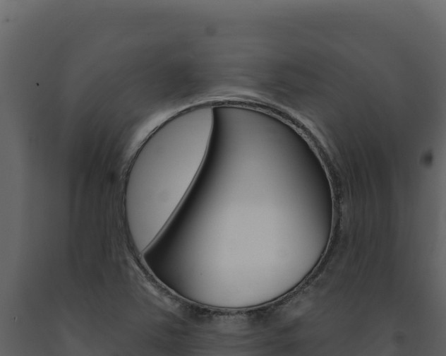 X0000091731363200708241034