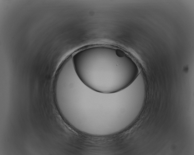 X0000091731364200708241034